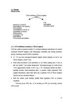 Referāts 'NUCB2 gēna promotera DNS sekvences un CpG metilēšanas analīze', 12.