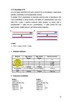 Referāts 'NUCB2 gēna promotera DNS sekvences un CpG metilēšanas analīze', 19.