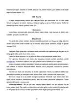 Referāts 'Kāzu pasākuma izveidošana un izmaksas', 16.