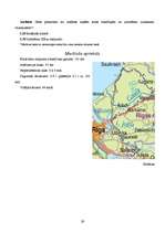 Referāts 'Kāzu pasākuma izveidošana un izmaksas', 29.