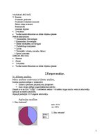 Biznesa plāns 'Sabiedrība ar ierobežotu atbildību "Višķi"', 4.