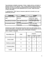 Biznesa plāns 'Sabiedrība ar ierobežotu atbildību "Višķi"', 8.