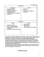 Biznesa plāns 'Sabiedrība ar ierobežotu atbildību "Višķi"', 10.