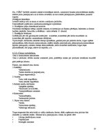 Biznesa plāns 'Sabiedrība ar ierobežotu atbildību "Višķi"', 18.