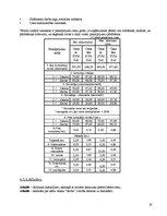 Biznesa plāns 'Sabiedrība ar ierobežotu atbildību "Višķi"', 19.