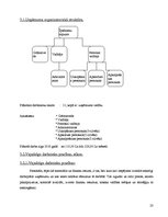 Biznesa plāns 'Sabiedrība ar ierobežotu atbildību "Višķi"', 22.