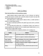 Biznesa plāns 'Sabiedrība ar ierobežotu atbildību "Višķi"', 25.