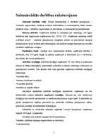 Konspekts 'SIA "A" reklāmas kampaņas izstrāde', 2.