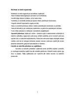 Konspekts 'SIA "A" reklāmas kampaņas izstrāde', 5.