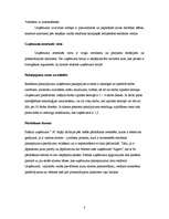 Konspekts 'SIA "A" reklāmas kampaņas izstrāde', 8.