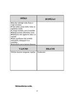 Konspekts 'SIA "A" reklāmas kampaņas izstrāde', 10.