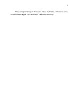 Referāts 'Priekšzīmīga muitas darbinieka kritēriji', 7.