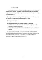 Diplomdarbs 'Fizikālā terapija', 11.