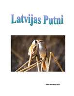 Referāts 'Putni', 1.