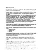 Referāts 'Putni', 4.