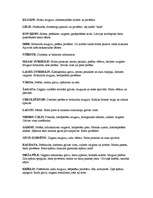 Referāts 'Putni', 9.