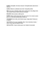 Referāts 'Putni', 10.