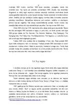 Referāts 'Regeja vēsture', 8.