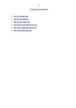 Referāts 'Regeja vēsture', 13.