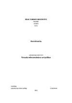 Konspekts 'Tēraudu mikrostruktūras un īpašības', 1.