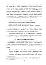 Referāts 'Tirgus starpnieki, to loma vērtspapīru tirgū', 16.