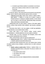 Referāts 'Uzņēmuma konkurētspējas analīze', 3.