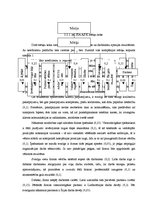 Referāts 'Uzņēmuma konkurētspējas analīze', 18.