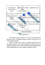 Referāts 'Uzņēmuma konkurētspējas analīze', 31.