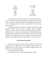 Konspekts 'Asins plazma', 3.