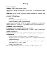 Referāts 'Cilvēki ar īpašām vajadzībām sabiedrībā', 2.