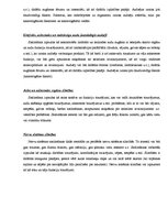 Referāts 'Cilvēki ar īpašām vajadzībām sabiedrībā', 10.