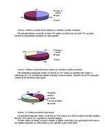 Referāts 'Cilvēki ar īpašām vajadzībām sabiedrībā', 24.