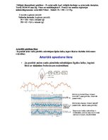 Konspekts 'Asinsrite asinsvados', 3.