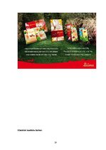 Referāts 'A/s "Laima" darbības izpēte', 29.