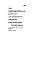 Referāts 'Grāmatvedības dokumentācija', 1.