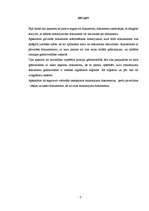 Referāts 'Grāmatvedības dokumentācija', 2.