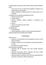 Referāts 'Grāmatvedības dokumentācija', 5.