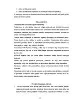 Referāts 'Grāmatvedības dokumentācija', 10.