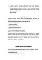 Referāts 'Grāmatvedības dokumentācija', 13.