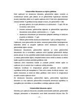 Referāts 'Grāmatvedības dokumentācija', 17.