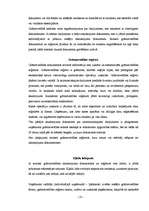 Referāts 'Grāmatvedības dokumentācija', 18.