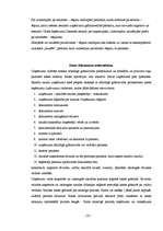 Referāts 'Grāmatvedības dokumentācija', 20.