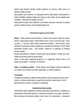 Referāts 'Grāmatvedības dokumentācija', 21.