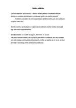 Konspekts 'Solidāra saistība', 2.