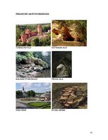 Paraugs 'Vidzemes gastronomiskās tūres izstrāde', 18.