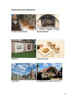 Paraugs 'Vidzemes gastronomiskās tūres izstrāde', 19.