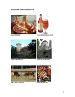 Paraugs 'Vidzemes gastronomiskās tūres izstrāde', 20.