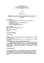 Paraugs 'Dažādu ķermeņu inerces moments. Šteinera teorēma ar datu uzkrāšanas ierīci "Cobr', 1.