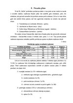 Biznesa plāns 'Biznesa plāns ekonomikā', 15.