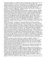 Eseja 'Organization Environment', 1.